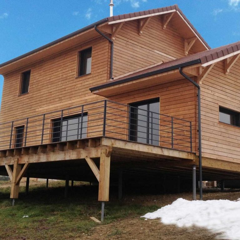 Un grand arbre avec un tronc imposant et des branches étendues, soleil rayonnant à travers les feuilles.